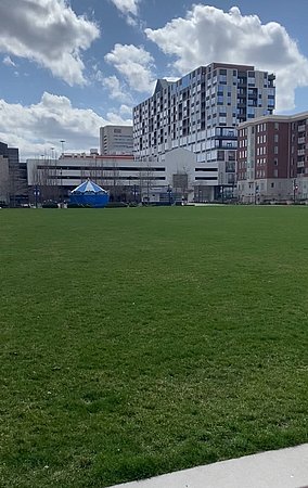 the park outside of the Lady Chaps' hotel in Columbus