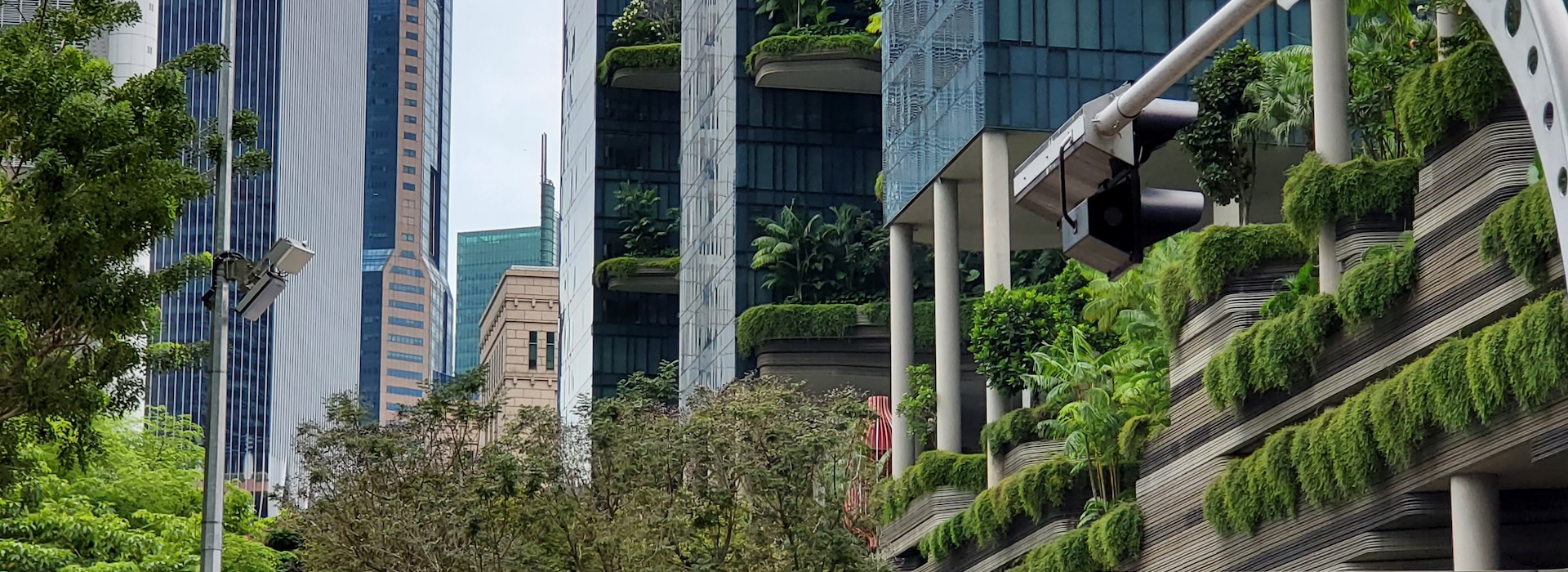 Photo of a city skyline with jungle plants in the foreground