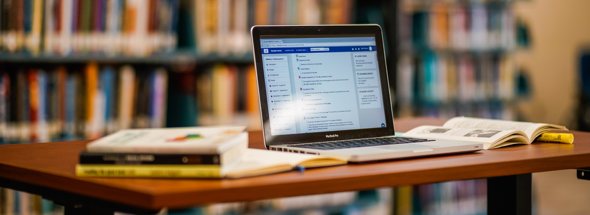 University Studies Degree